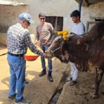 Consectetur adipisicing elit